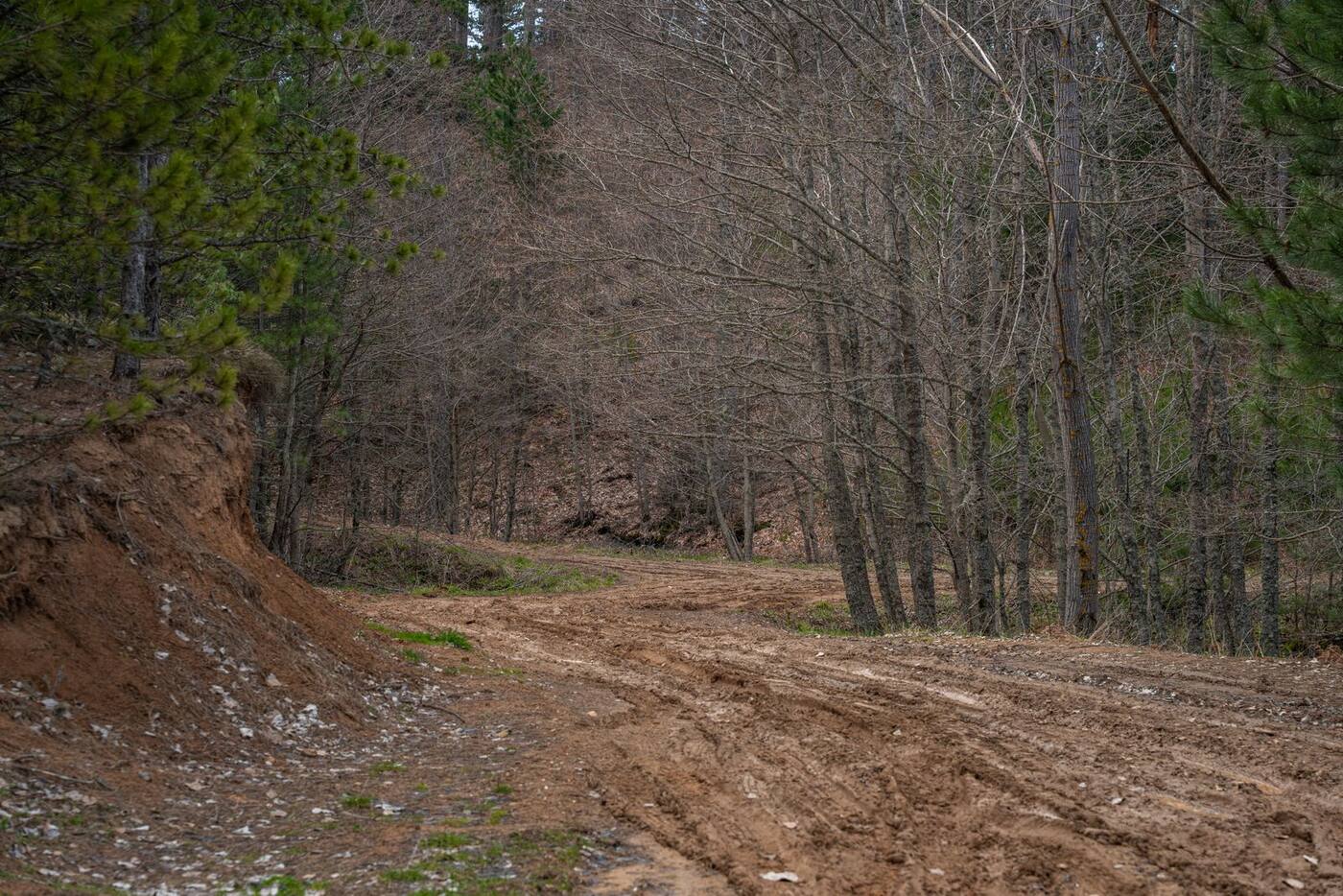 Before: the eroded, poorly draining yard