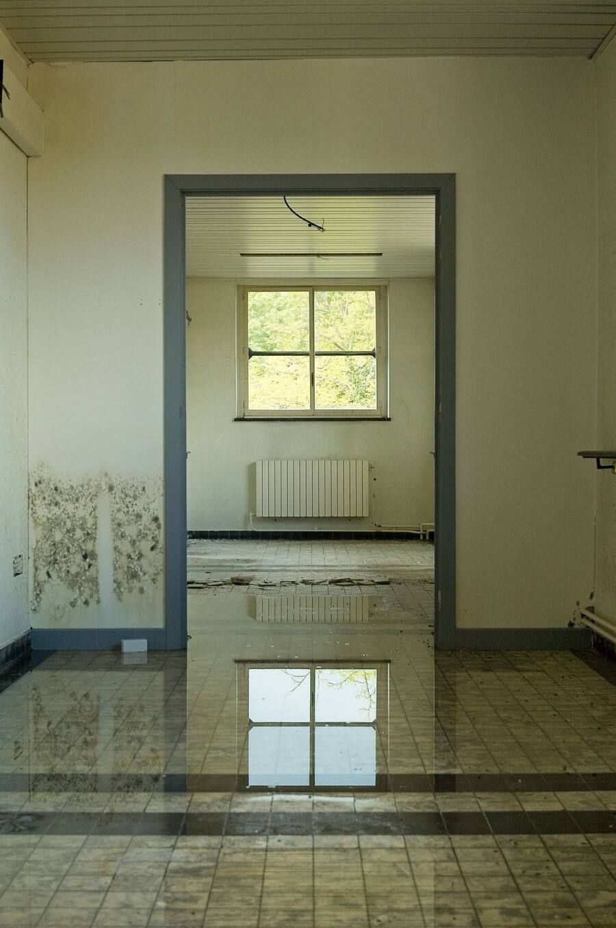 Mold and environmental remediation project